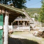 Bienvenue au refuge